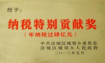 集团公司喜获“2012年纳税特别贡献奖”荣誉称号